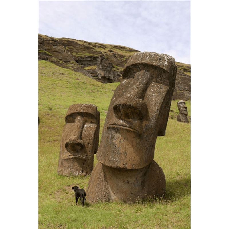 2 Stone head statues in green field.